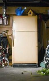 Upgrade Your Refrigerator